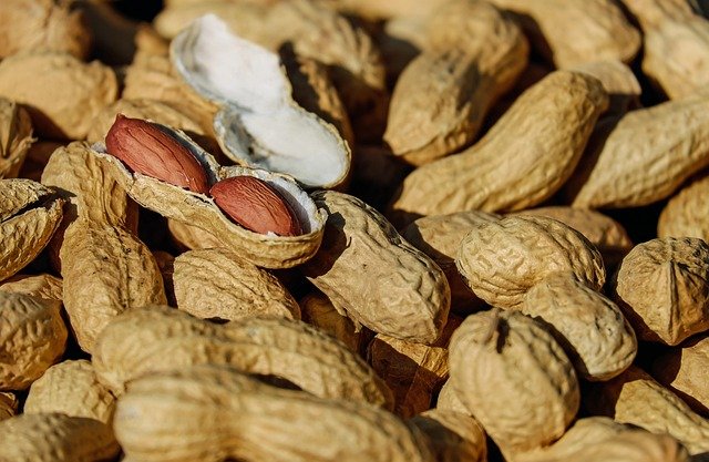 peanut 