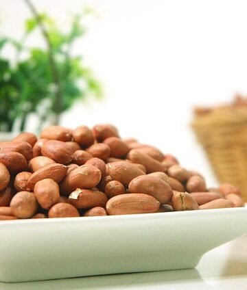 5 Urgent Benefits of Shakti Agroflora Exports for You