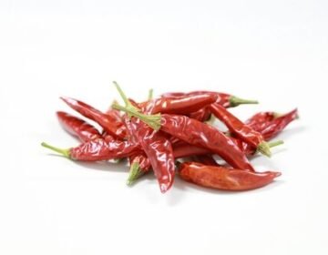 5 Urgent Benefits of Shakti Agroflora Exports for You
